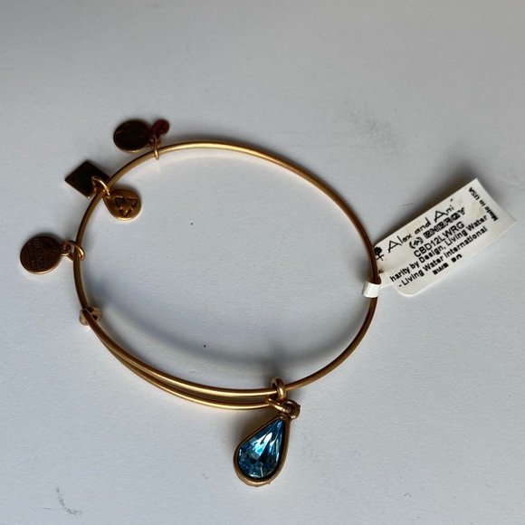 Alex and Ani Blue Charm Bracelet - Picture 3 of 4